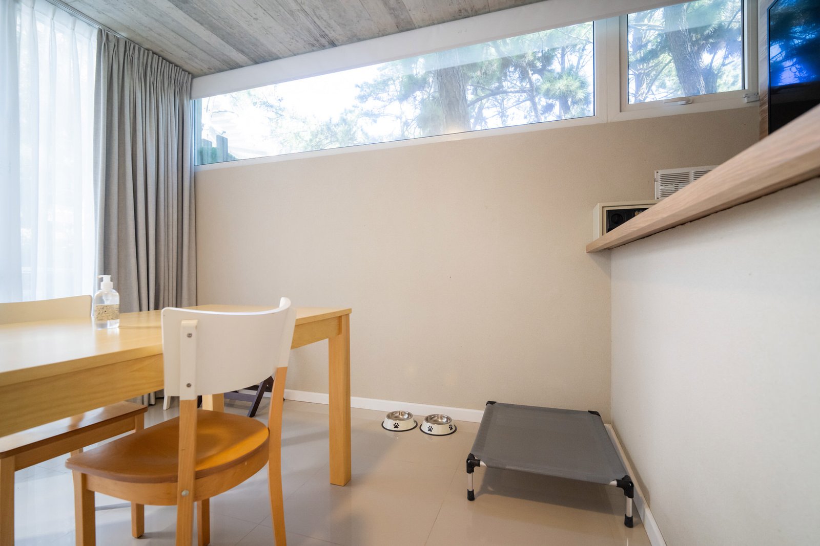 Living con ventana al bosque