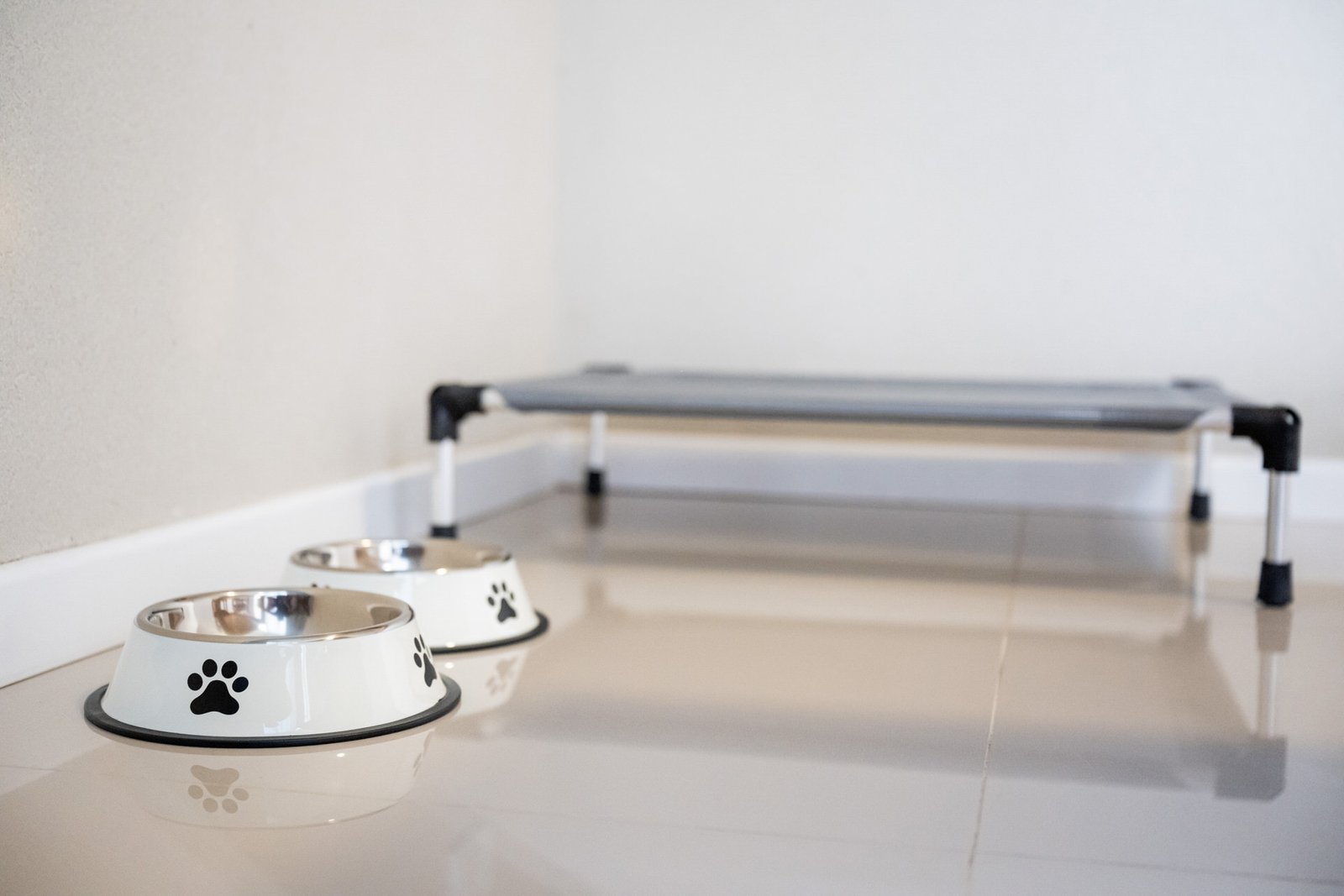 Bowls y camita para mascota