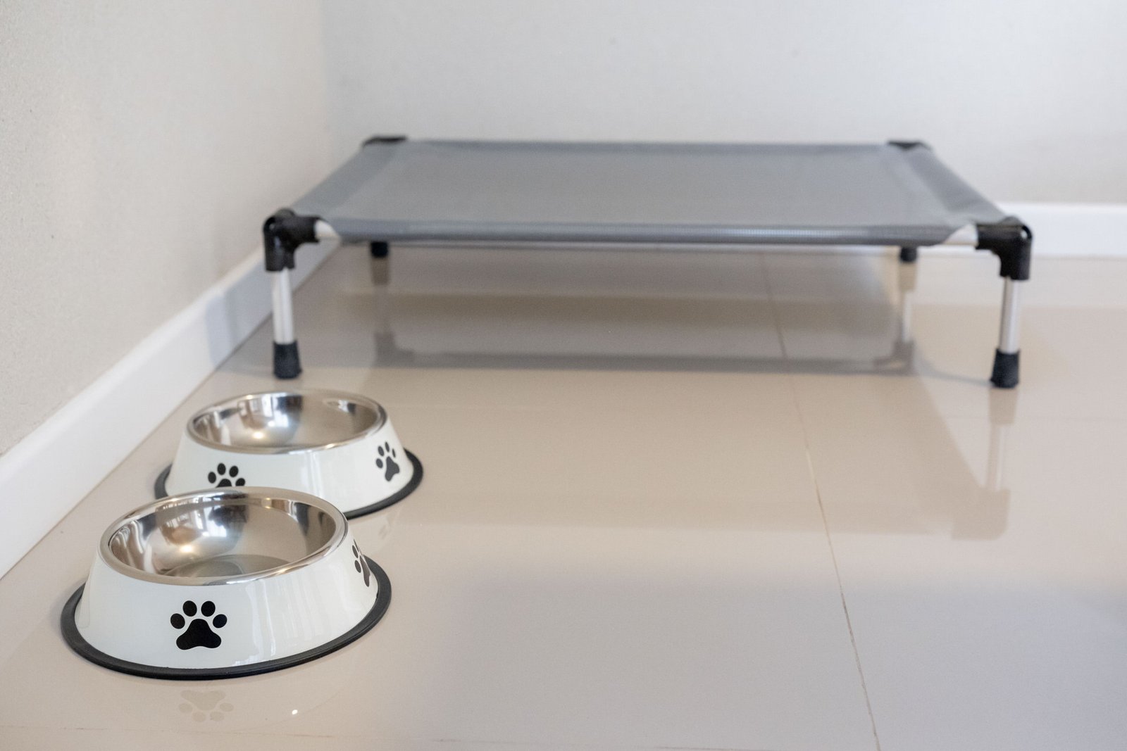 Camita para mascota